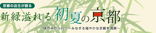 新緑溢れる初夏の京都[ 京都の店主が語る ]