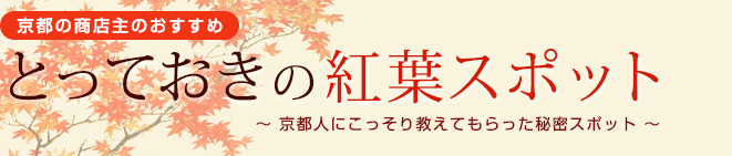 京都とっておきの紅葉スポット [ 京都の商店主の秘密スポット ]