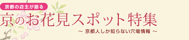 京のお花見スポット特集[ 京都の店主が語る ]